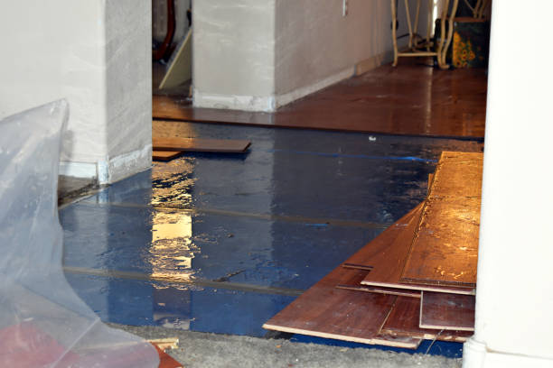 Professional Burst Pipe Cleanup technician working in Freeland, MI