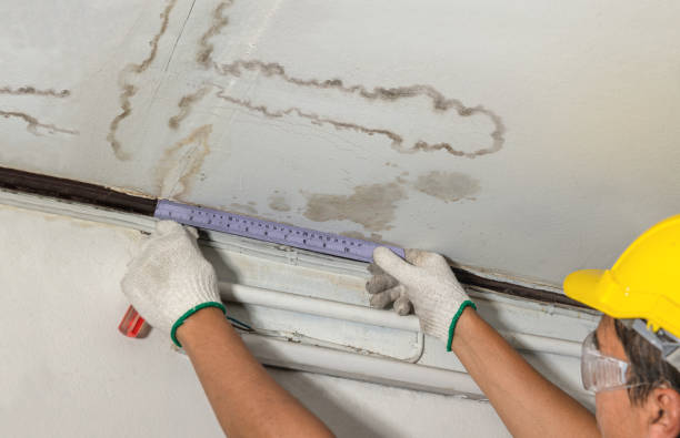 Reliable Burst Pipe Cleanup contractor in Freeland, MI by Local Water Damage Repair